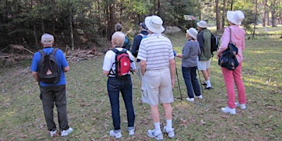 Image principale de Lady Carrington Drive Walk - 12 Feburary