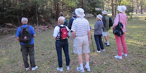 Image principale de Lady Carrington Drive Walk - 12 Feburary