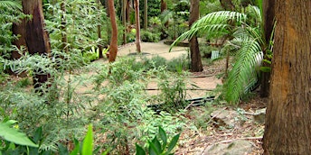 Image principale de Scamper through the Jungle, Thursday 23 April