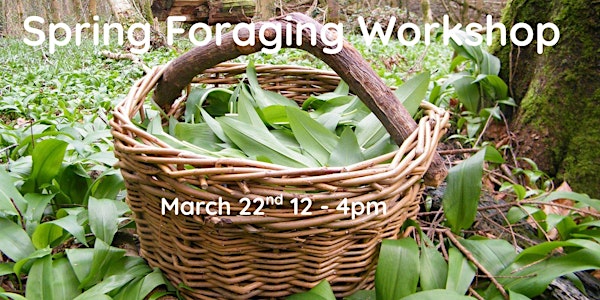 Spring Foraging Workshop