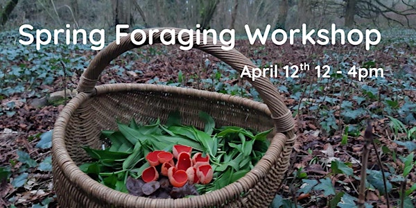 Spring Foraging Workshop