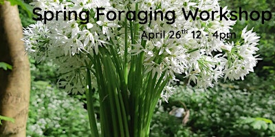 Image principale de Spring Foraging Workshop