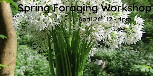 Image principale de Spring Foraging Workshop