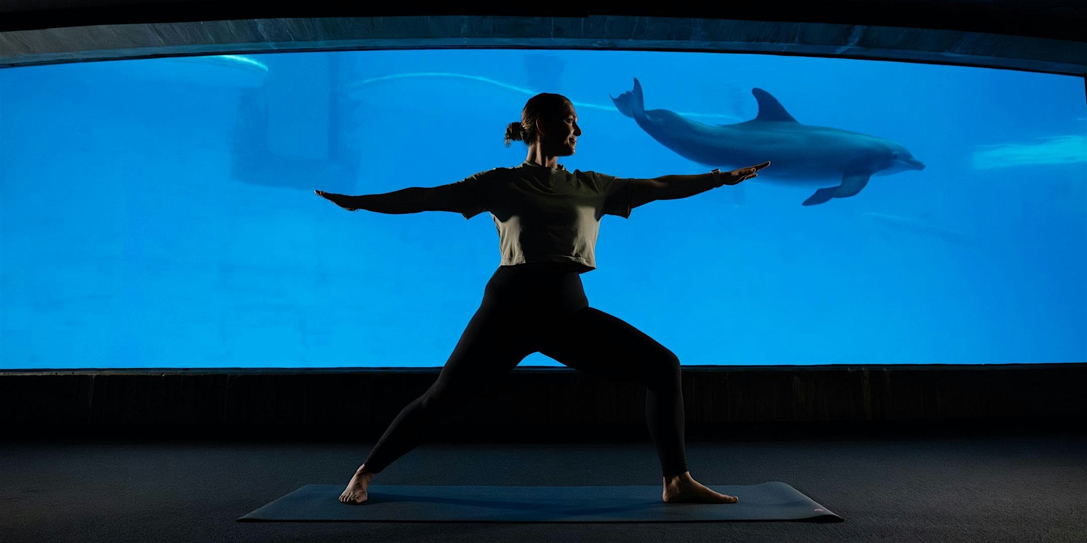 Morning Yoga: Underwater Flow