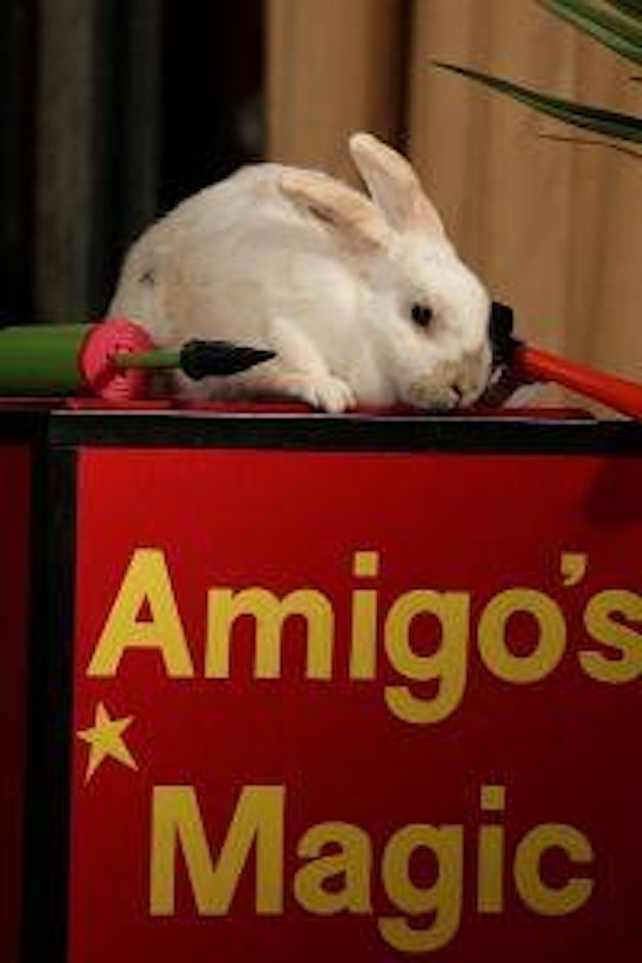 Amigo's Magical pre-Christmas Show! Profits to Albrighton Community Centre image
