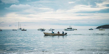 Hauptbild für Marcas sectoriales y trazabilidad para el sector pesquero de Costa Rica
