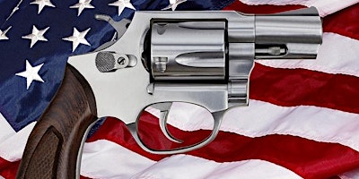 Immagine principale di Basic Firearms Ownership 