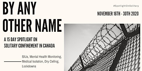 By Any Other Name: Solitary Confinement, International Rights & The Charter primary image