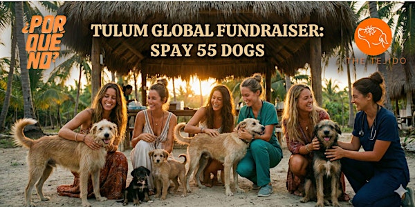 ¿PorQuéNo? Global Fundraiser to Spay 55 Stray Dogs in Tulum