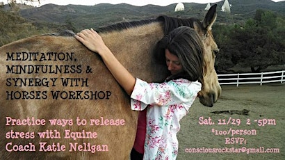 Meditation, Mindfulness & Synergy with Horses - Equine Coaching Workshop primary image