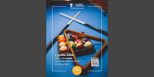 Image principale de Liguilla billar- todos los lunes de enero en Centro Juvenil Hontalbilla