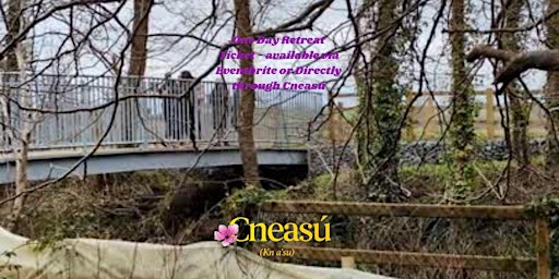 Image principale de One-Day Retreat Experience – Forest Bathing, Spa & Sound Therapy