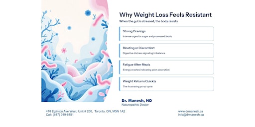 Image principale de Why Weight Loss Feels Impossible — And How Gut Health Changes the Equation