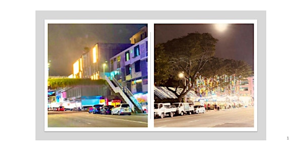 Alan Walking Tour - Geylang After Dark: Life Between the Lanes