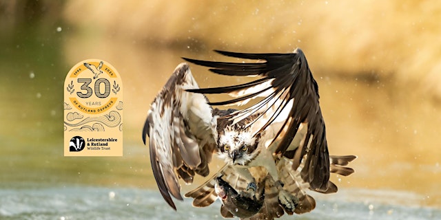 Image principale de Evening Osprey Cruise - special anniversary event