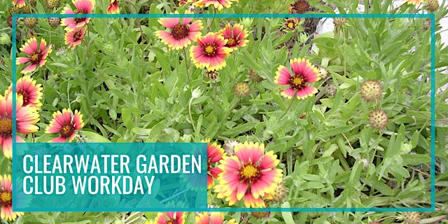 Image principale de Monthly Clearwater Garden Club Workday