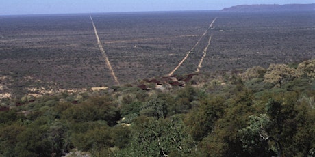 Hauptbild für Namibia bush thinning