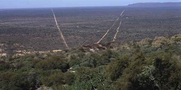 Namibia bush thinning