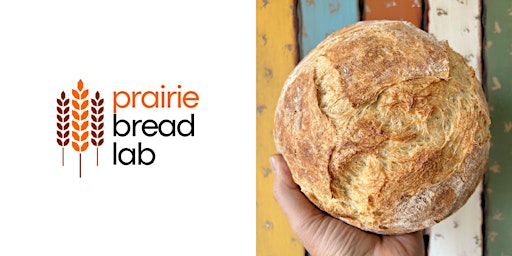 Image principale de Learn to Bake Artisan Bread - FREE!