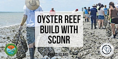 Oyster Reef Build primary image