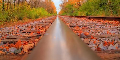 Image principale de Falliday Train Ride Excursion