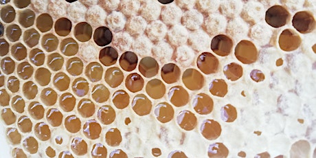 From Hive to Honey Jar - De la ruche au pot de miel primary image