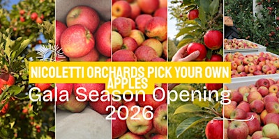 Imagen principal de Celebrate the start of the 2026 harvest season with our first PYO Apples