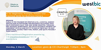 Image principale de AI for Beginners: Prompts, Pitfalls and Skills for Business Owners