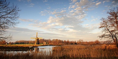 Image principale de Loenderveense plas: wintergasten spotten