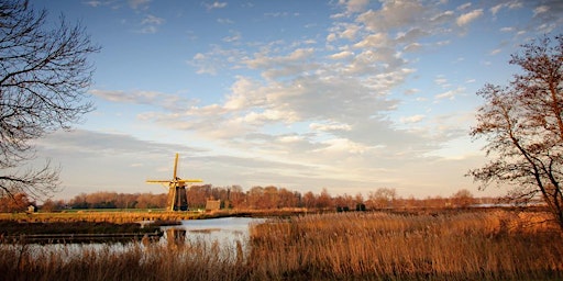 Image principale de Loenderveense plas: wintergasten spotten