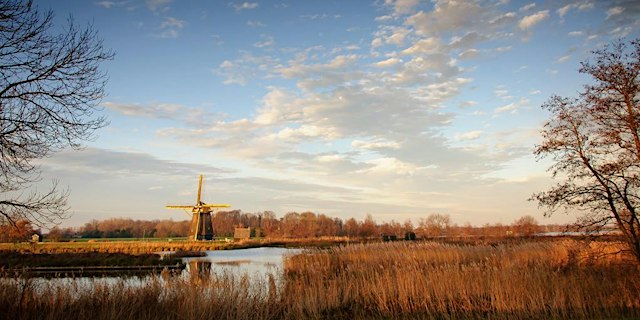 Image principale de Loenderveense Plas: Wintergasten spotten