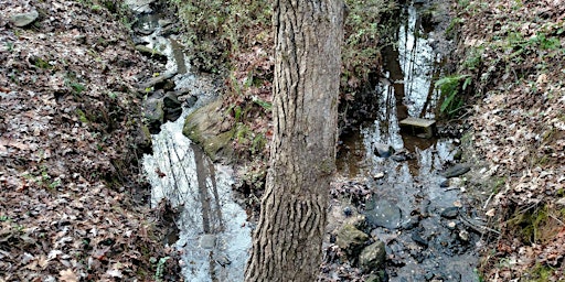 Image principale de GA Adopt-A-Stream Visual Stream Monitoring Workshop