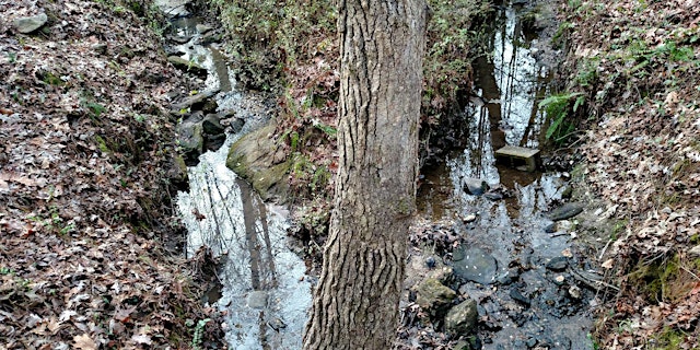 Image principale de Georgia Adopt-A-Stream Visual Stream Monitoring Workshop