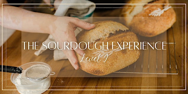 Image principale de Sourdough Experience - Level I (Sept.8.2026)
