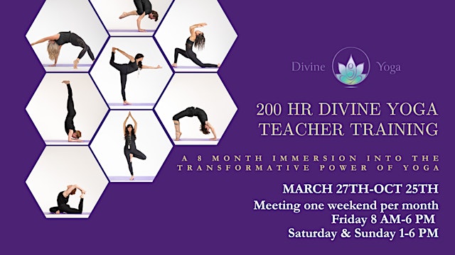 Image principale de 200 HR Divine Yoga Teacher Training