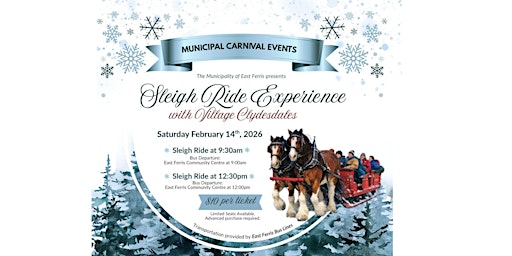 Imagen principal de Sleigh Ride with Village Clydesdales