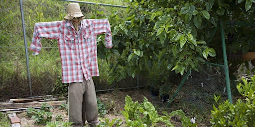 Image principale de Regenerative Garden Design 28 February 2026