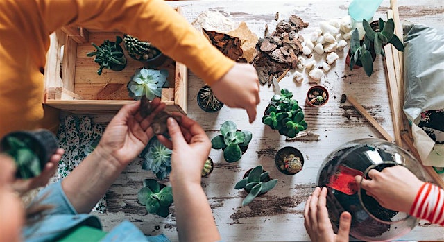 Image principale de LABORATORIO BAMBINI: L'arte del Terrario