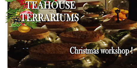 Christmas Terrarium Workshop  Make the perfect gift for that special person primary image