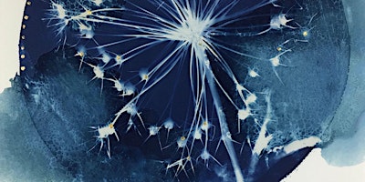 Image principale de TROCHI CELF / ART IMMERSION: Justine Montford