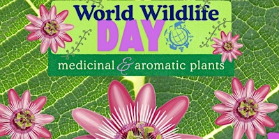 Image principale de World Wildlife Day Kid's Craft at Leytonstone Library
