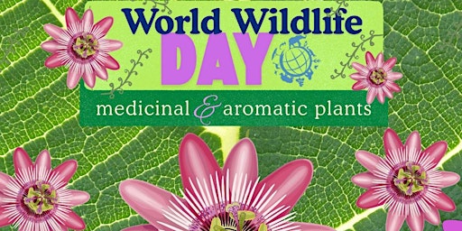 Image principale de World Wildlife Day Kid's Craft at Leytonstone Library