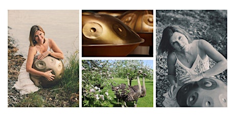 Imagem principal de Handpan Workshop in der Streuobstwiese