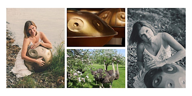 Image principale de Handpan Workshop in der Streuobstwiese