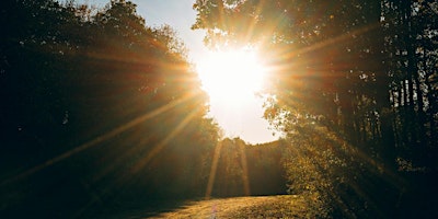 Image principale de Mind your Nature.de - Autopilot erkennen, Wahlfreiheit zurückgewinnen