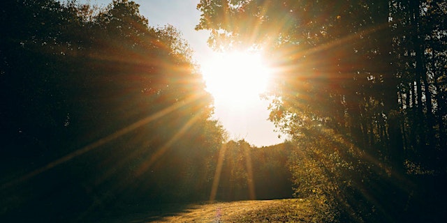 Image principale de MINDyourNATURE.de - 19.06.-21.06.2026