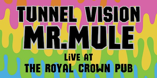 Image principale de TUNNEL VISION - Live at The Royal Crown Pub (feat. Mr. Mule)