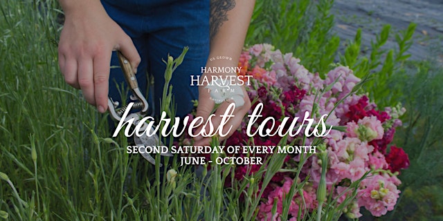 Image principale de Harvest Tours