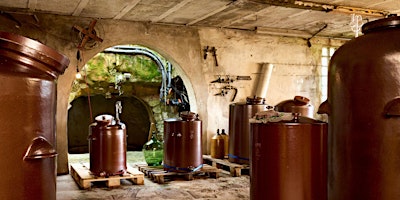 Image principale de Wenn Kümmern auf der Zunge liegt: Tasting-Workshop II