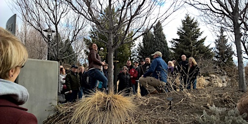 Image principale de Immersive Learning: Pruning